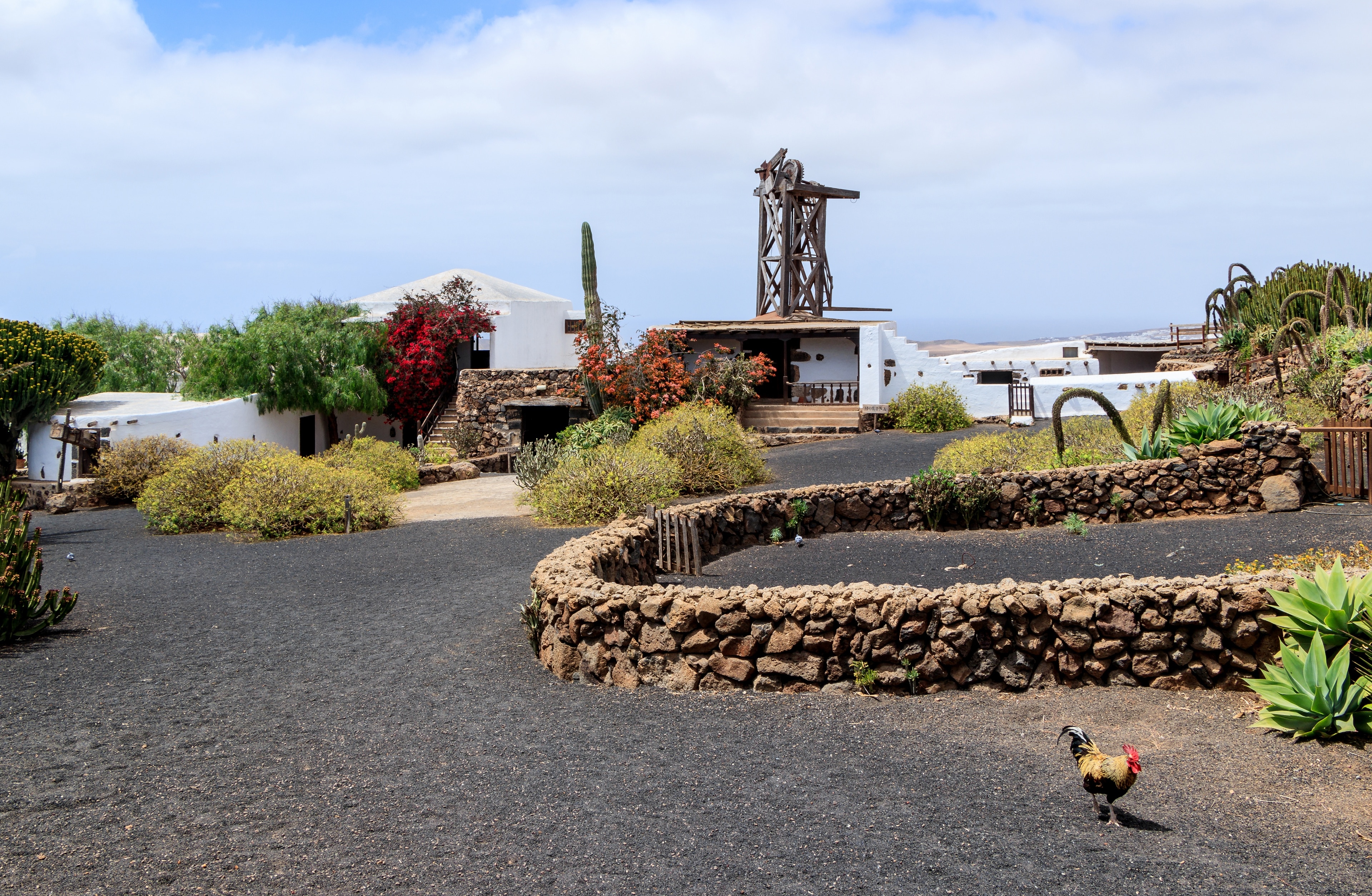 Tiagua Travel Guide: Best of Tiagua, Teguise Travel 2024 | Expedia.co.in