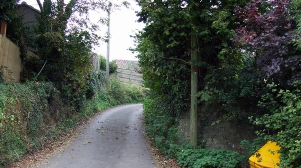 Photo "Felton" by Thomas Nugent (CC BY-SA) / Cropped from original
