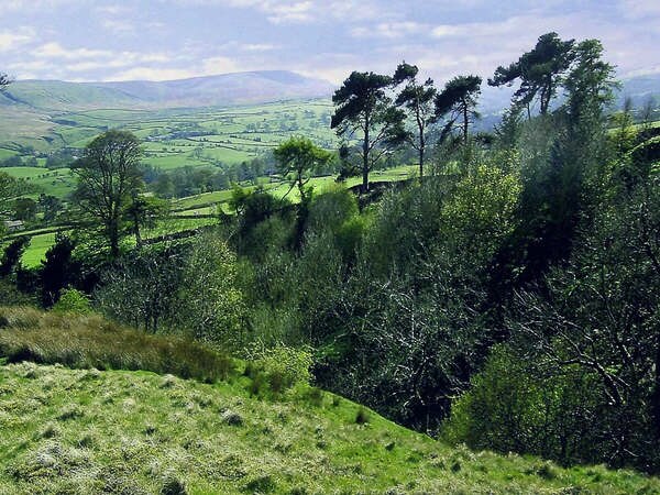 Foto „Melmerby“ von Anthony Harrison (CC BY-SA)/zugeschnittenes Original