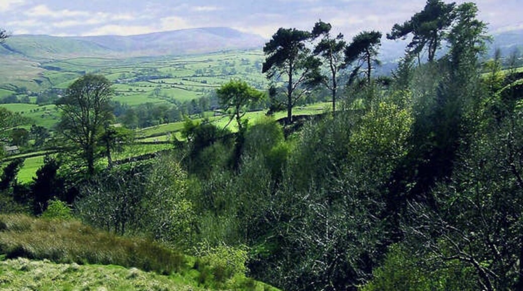 "Melmerby"-foto av Anthony Harrison (CC BY-SA) / Urklipp från original