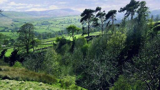 Billede "Melmerby" af Anthony Harrison (CC BY-SA) / beskåret fra det originale billede