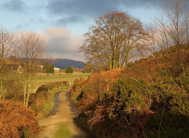 Foto "More" por Derek Harper (CC BY-SA) / Recortada de la original