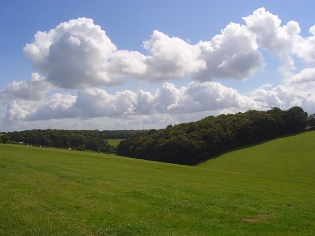 Photo "Lacey Green" by Andrew Smith (CC BY-SA) / Cropped from original