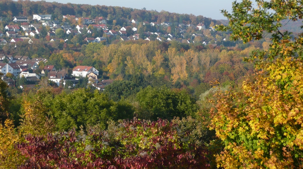 Photo "Österfeld" by Qwesy (CC BY) / Cropped from original