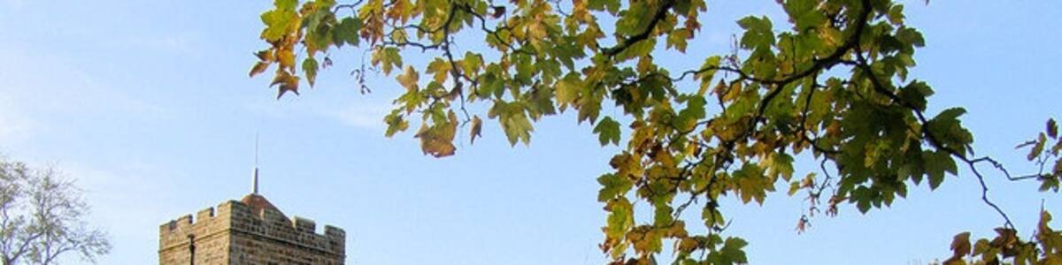 Photo "All Saints' parish church, Laughton, East Sussex, seen from the southeast" by Kevin Gordon (Creative Commons Attribution-Share Alike 2.0) / Cropped from original
