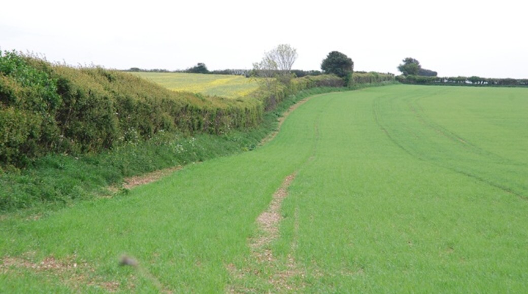 Foto "Winterborne Clenston" por Toby (CC BY-SA) / Recortada de la original