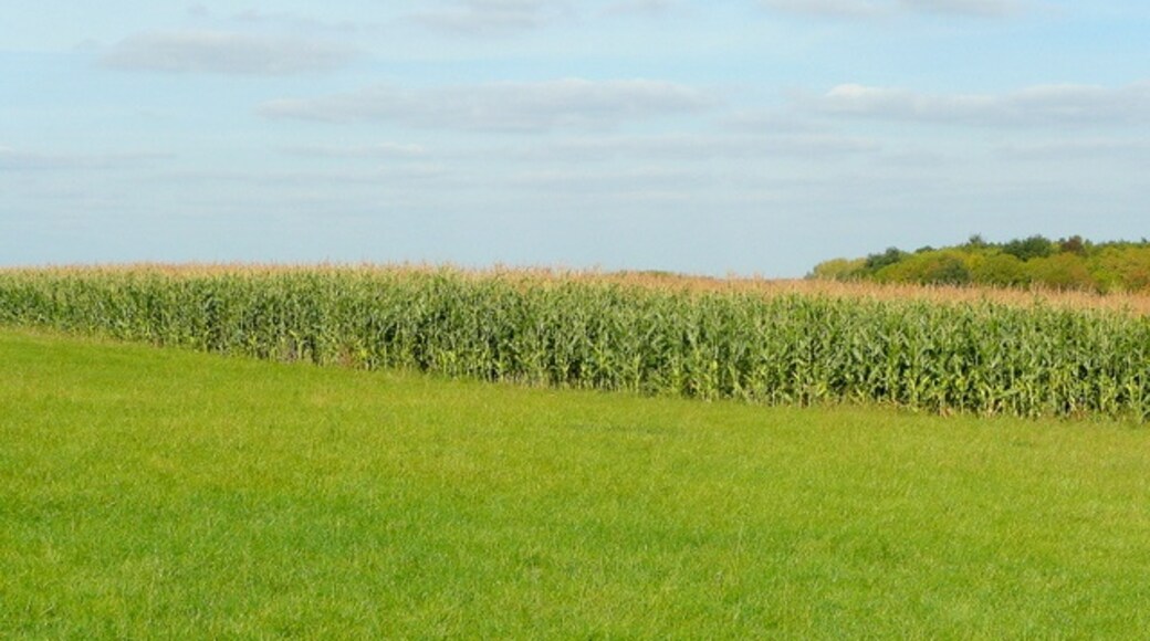 "Toddington"-foto av Jonathan Billinger (CC BY-SA) / Urklipp från original