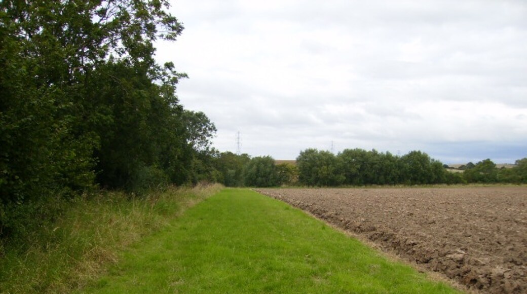 Photo "Howsham" by Phil Catterall (CC BY-SA) / Cropped from original