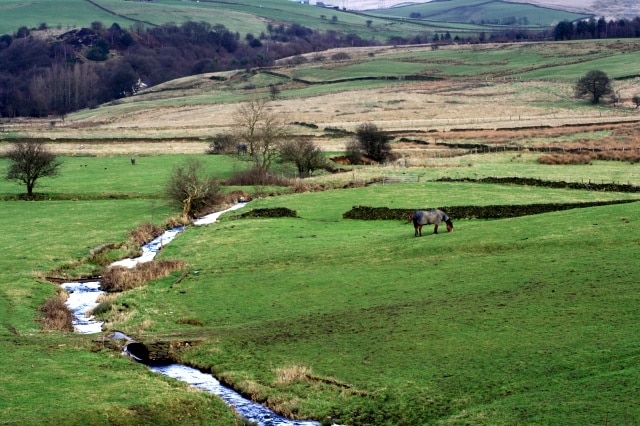 Pasture Between Cleggswood Hill and Hollingworth Hill This stream and valley must have a name but I counldn't find it on the map.