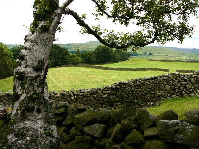 Foto „Low Abbotside“ von Chris Gunns (CC BY-SA)/zugeschnittenes Original