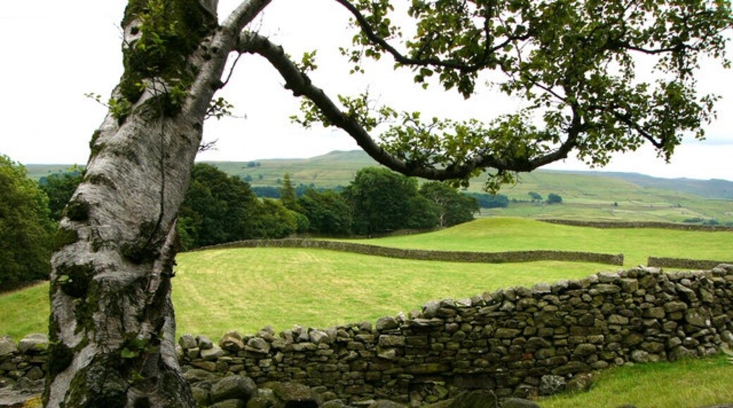 Billede "Low Abbotside" af Chris Gunns (CC BY-SA) / beskåret fra det originale billede