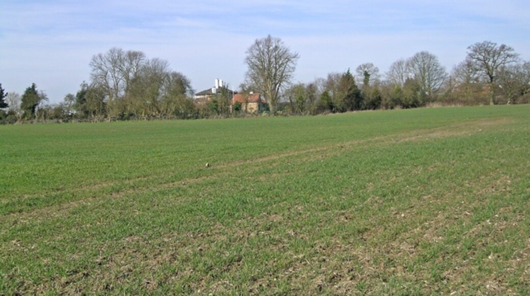 "North Weald Bassett"-foto av Steven Muster (CC BY-SA) / Urklipp från original