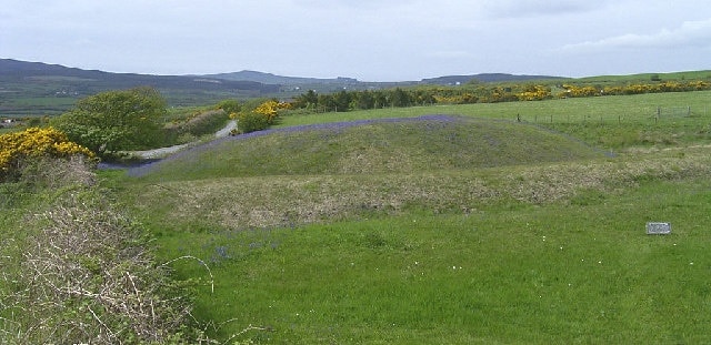 The Broogh Fort, Santon - bluebell time. A motte, a henge, a ringfort? The Broogh Fort could be any of these, but even though it is not wooded there is a fabulous display of native bluebells each spring.