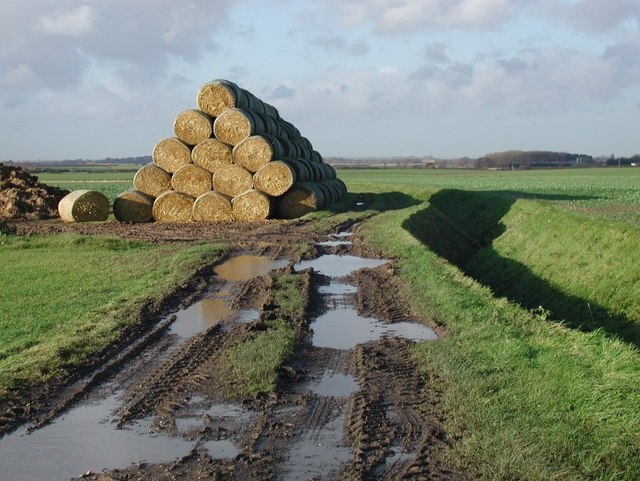 Ảnh "Halsham" của Paul Glazzard (CC BY-SA) / Cắt từ ảnh gốc