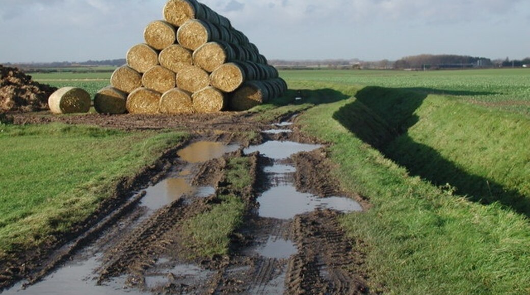 Ảnh "Halsham" của Paul Glazzard (CC BY-SA) / Cắt từ ảnh gốc