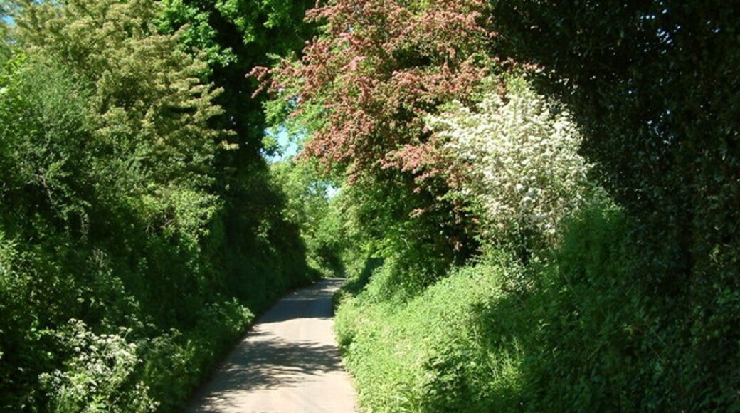 "Crediton Hamlets"-foto av Robin Lucas (CC BY-SA) / Urklipp från original