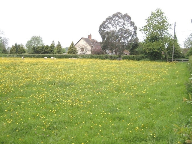 Fowler's Farm, Hatch Beauchamp. Seen across a field from the footpath past Higher Mill.