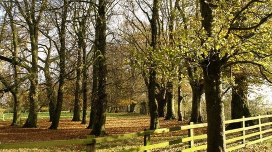 Photo "Welton le Wold" by Andy Beecroft (CC BY-SA) / Cropped from original