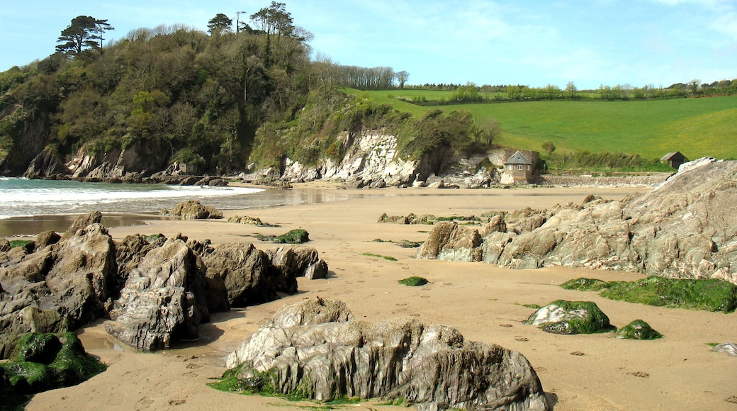 Photo "Mothecombe Beach" by JOHN SIMPSON (CC BY) / Cropped from original