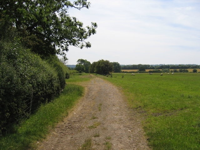 Green Lane to "Thistle Farm" This is an interesting example of the changing pattern of country lanes over the years. At one time this was part of the 186035, having dropped down the Cotswold escarpment near Radway by 184796. The 1940s OS map shows Thistle Farm hereabouts. Today it is a dead ended byway having been severed by the large MOD site at Kineton RMD.