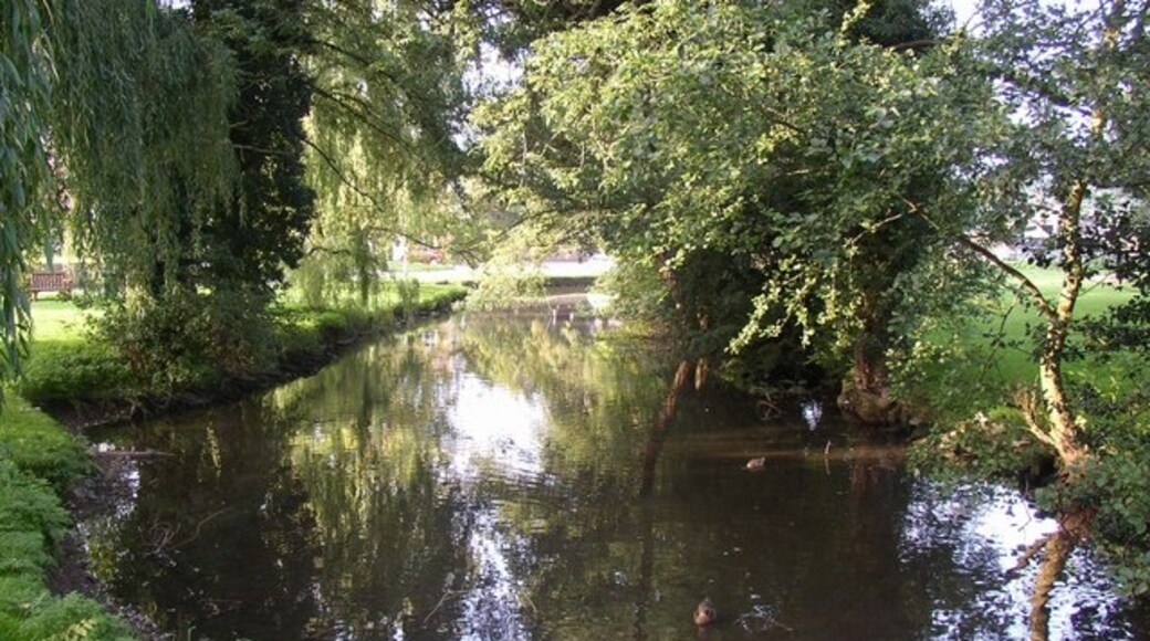 Kuva ”West Ayton” käyttäjältä Humphrey Bolton (CC BY-SA) / rajattu alkuperäisestä kuvasta