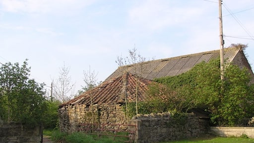 Foto „Stapleton“ von Hugh Mortimer (CC BY-SA)/zugeschnittenes Original