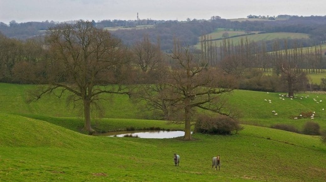 Photo "Goudhurst" by Glyn Baker (CC BY-SA) / Cropped from original