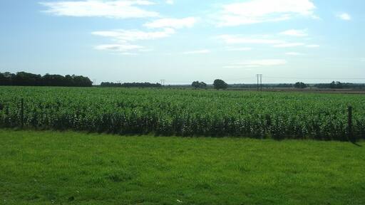 Photo "North Dalton" by JThomas (CC BY-SA) / Cropped from original