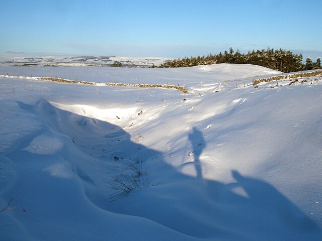 Kuva ”Gilmonby” käyttäjältä Andy Waddington (CC BY-SA) / rajattu alkuperäisestä kuvasta