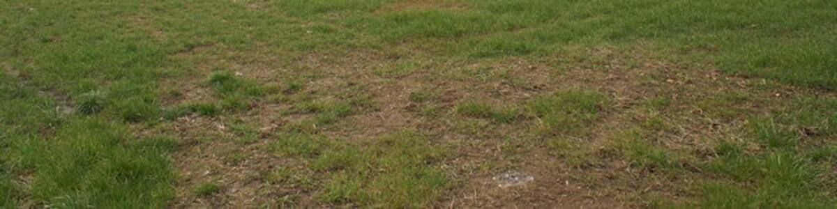 Photo "Field looking to Middlezoy." by Adrian and Janet Quantock (Creative Commons Attribution-Share Alike 2.0) / Cropped from original