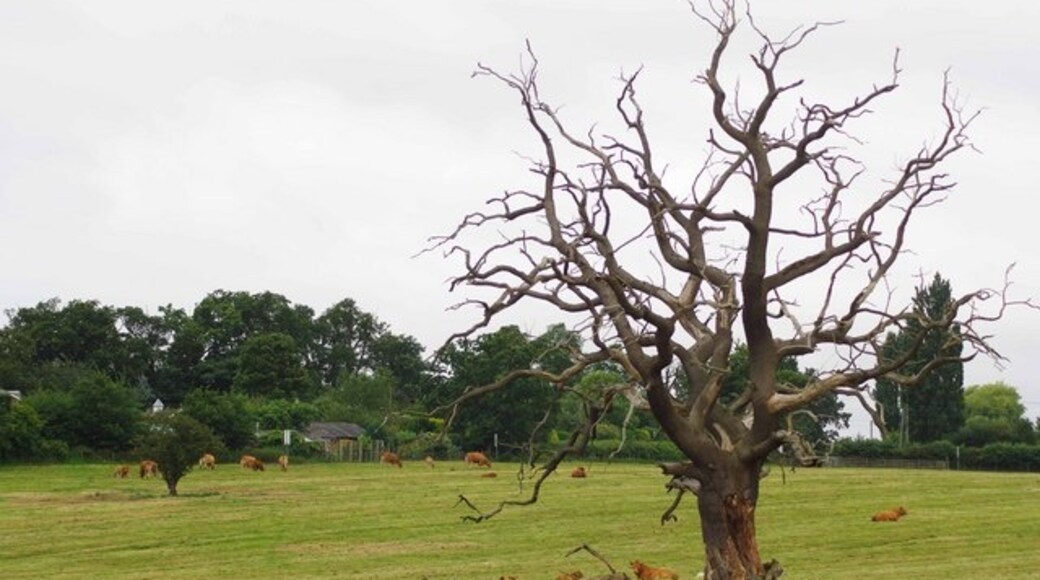 Foto “Abberton” tomada por Glyn Baker (CC BY-SA); recorte de la original