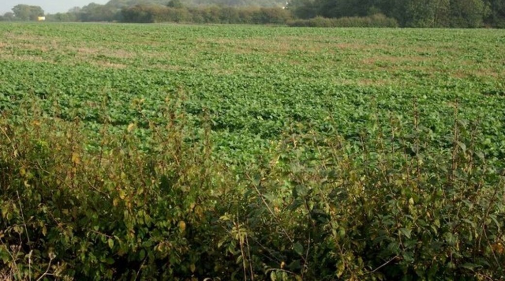 Foto “Warboys” tomada por Gordon Brown (CC BY-SA); recorte de la original