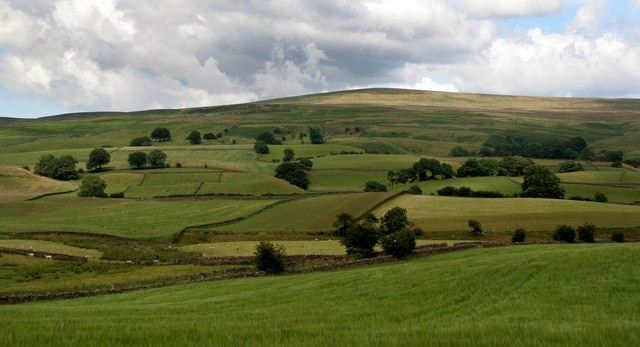 Renwick Fields above Renwick with Renwick Fell in the background.