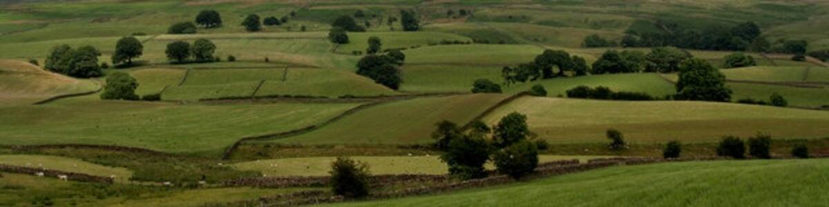 Photo "Renwick Fields above Renwick with Renwick Fell in the background." by Peter McDermott (Creative Commons Attribution-Share Alike 2.0) / Cropped from original