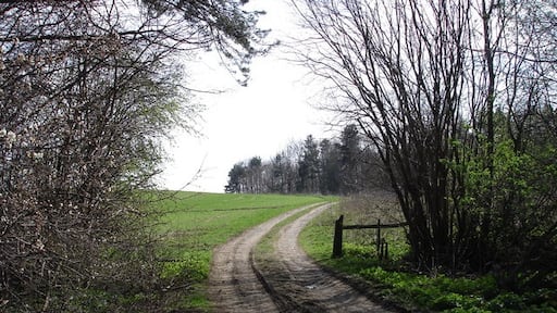 Ảnh "Hornby" của Frank Glover (CC BY-SA) / Cắt từ ảnh gốc