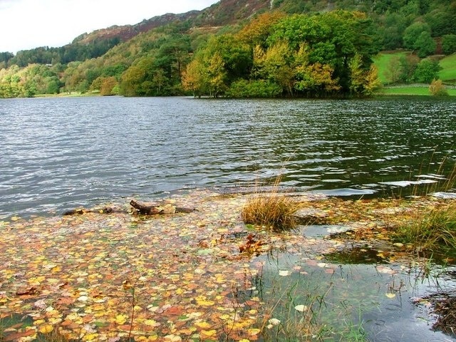 Autumn on Rydal Water