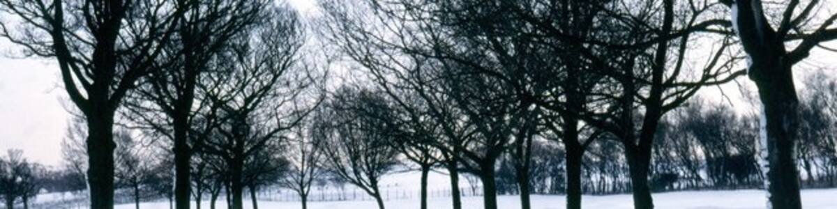 Photo "Snow by Hogganfield Loch" by Sarah Charlesworth (Creative Commons Attribution-Share Alike 2.0) / Cropped from original