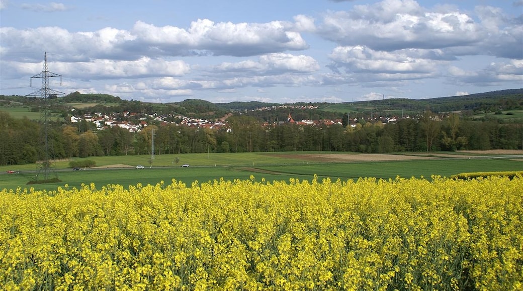 Foto „Dietenhausen“ von Augenstein (CC BY-SA)/zugeschnittenes Original