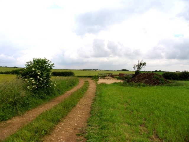 End of the Track Looking towards Welbourn Heath