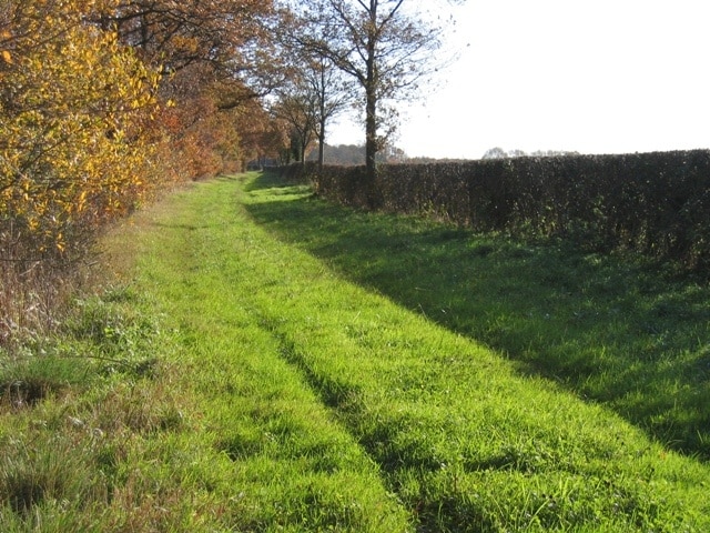 Carriage Road through Bretton Woods This tranquil track, heading for Balderton and formerly one of several carriage roads heading ultimately for Eaton Hall, gives no indication of the madness that is the A55 just a few metres to the left. Taken in the corner of SJ3563 the line of SJ36 runs across the track in front of the camera.