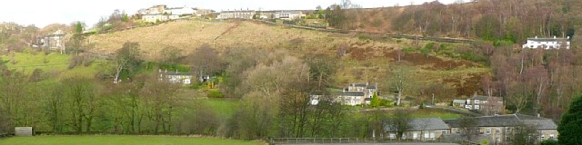 View towards Netherton from Wood Bottom Road, Honley The line of trees marks the course of Hall Dike, and the steep hillside is Netherton Bank.