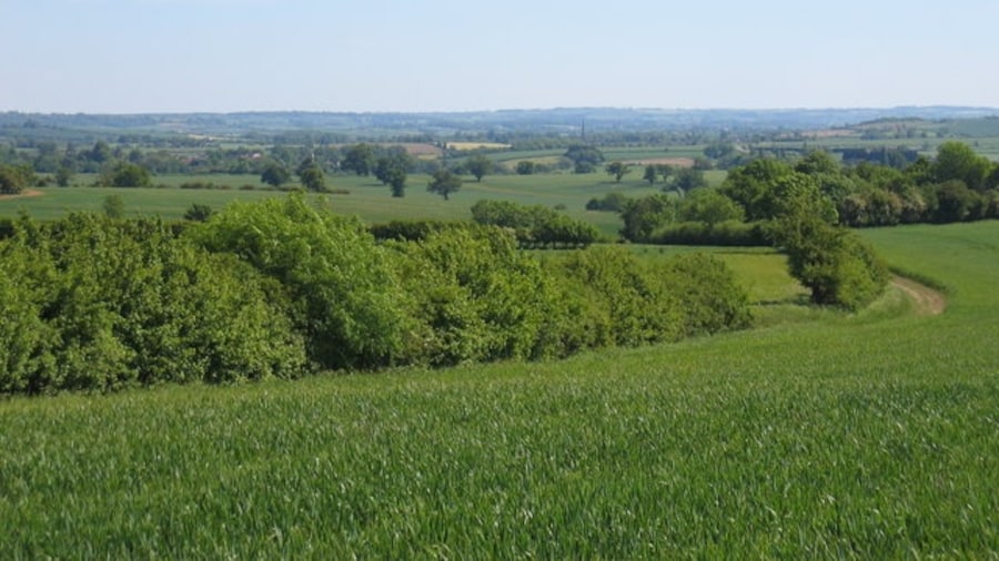 Photo "View towards Tredington. Looking over Ettington Park with the bridleway following the edge of the field in the foreground. In the distance the spire of Tredington church can be seen." by David Stowell (Creative Commons Attribution-Share Alike 2.0) / Cropped from original