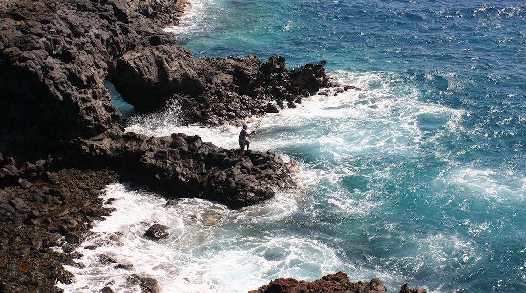 Photo "Orotava Valley" by Adam Gołąbski (CC BY-SA) / Cropped from original