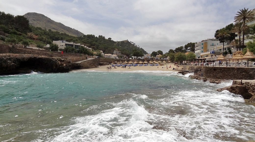 Photo "Cala Molins" by Oltau (CC BY) / Cropped from original