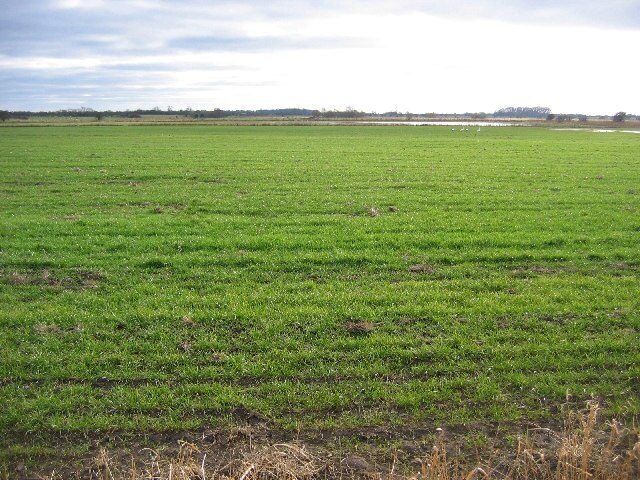 Foto “North Frodingham” tomada por Stephen Horncastle (CC BY-SA); recorte de la original