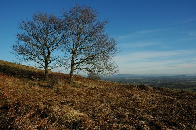 Foto “Berrow” tomada por Philip Halling (CC BY-SA); recorte de la original