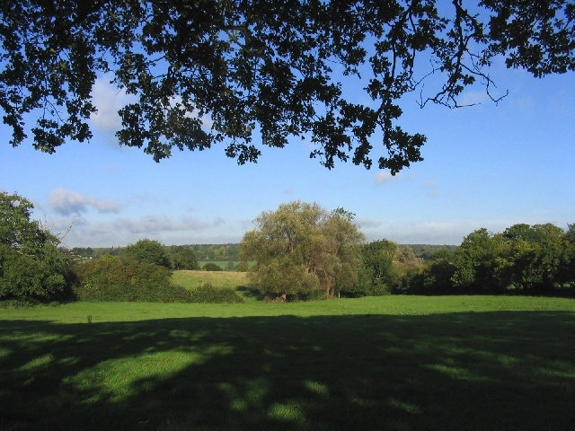 Fields and Woods, near Stock, Essex.