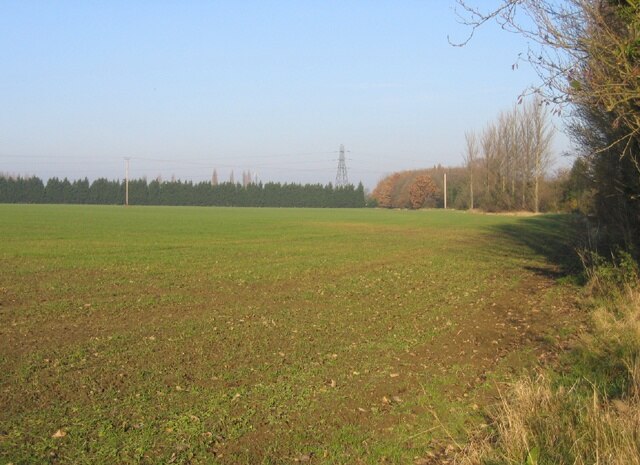 Farmland west of Girton, Cambs.  view N of a wheat field beside the Washpit Brook.