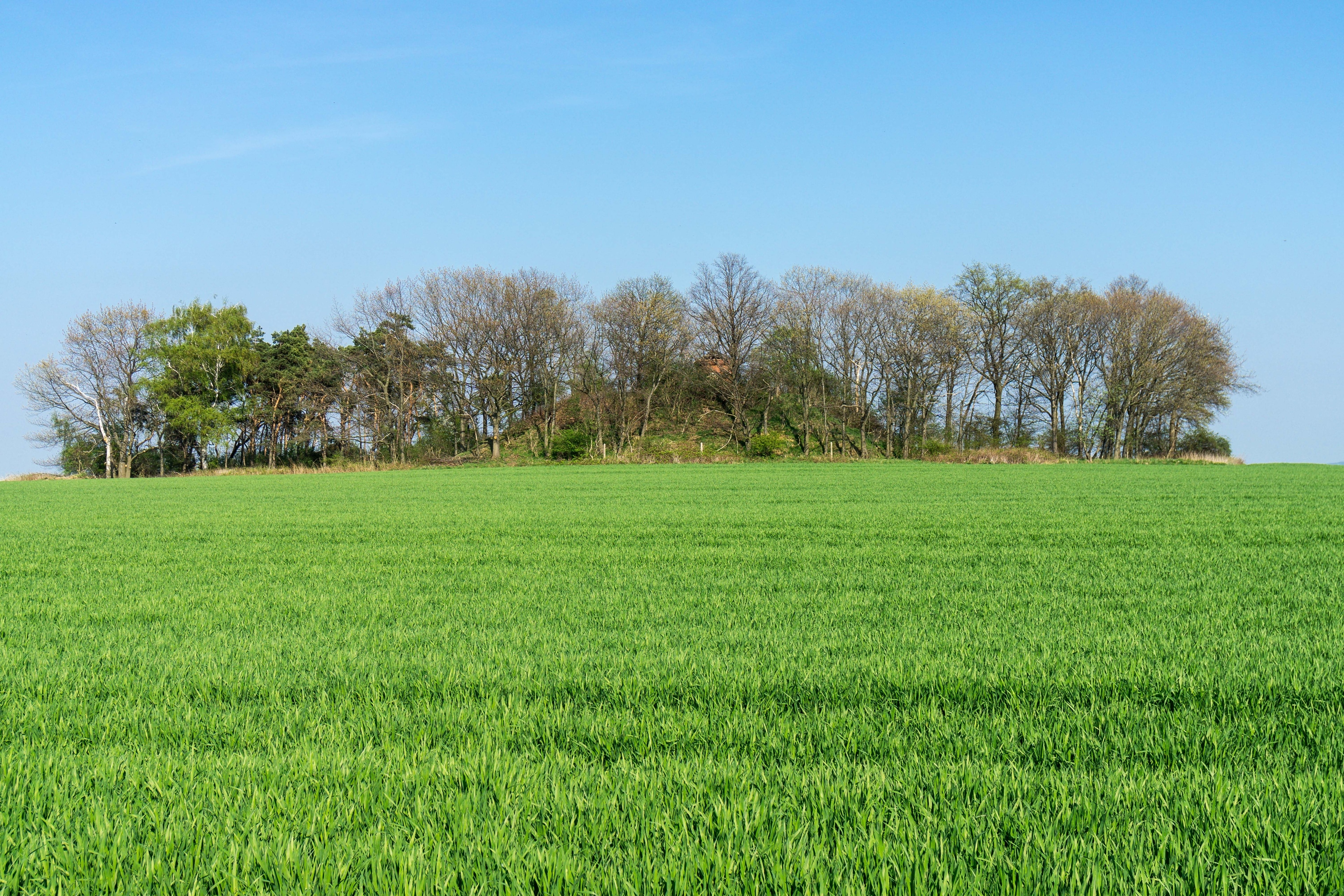 写真「イェゼヴィッツ」 投稿者 Radler59 様 (CC BY-SA) / 元の写真からトリミング