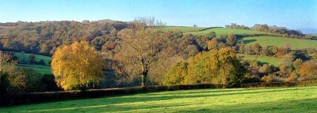 Autumn view from centre of grid square Grazing land on Devon Culm. Knapp Wood is on upper left, which is natural woodland.